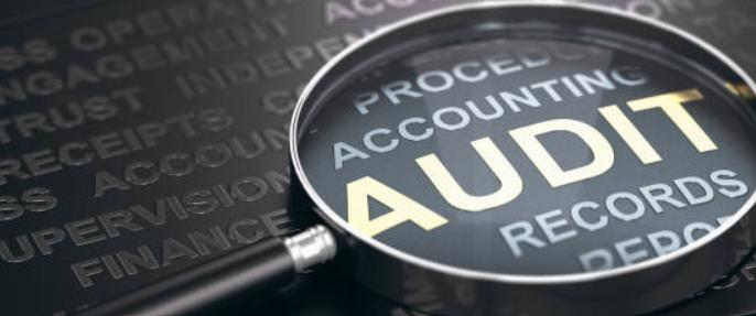 meticulous audit management