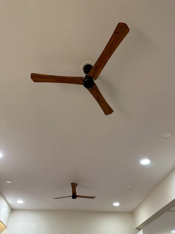 india bldc fans company