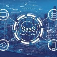 industry specific software dev