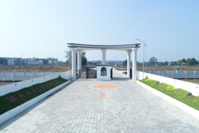 successful plot development