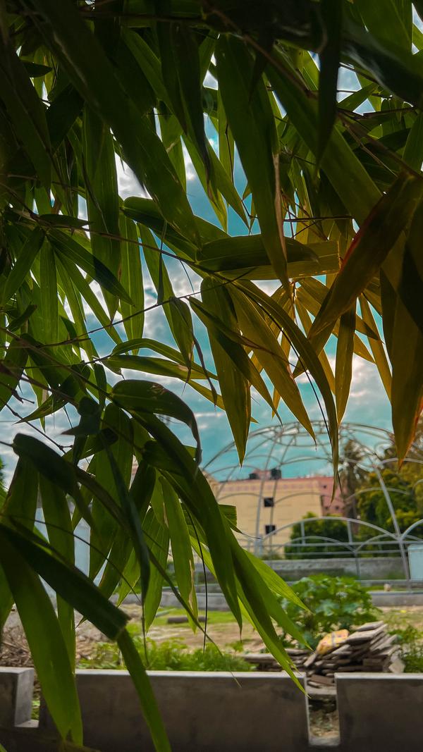 bestbanquetspaceinchennai
