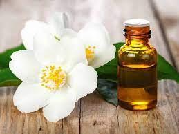 jasmine oil best supplier bang