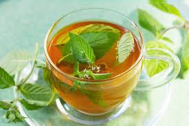 peppermint oil best supplier