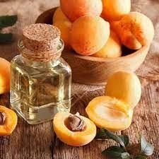 apricot oil wholesales