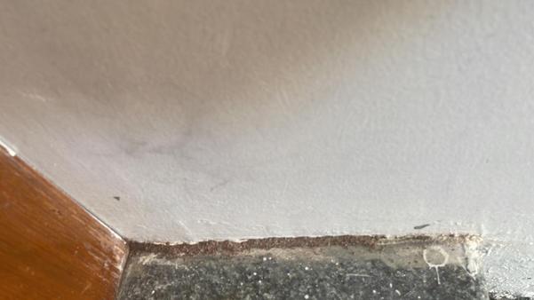 pest control free inspection