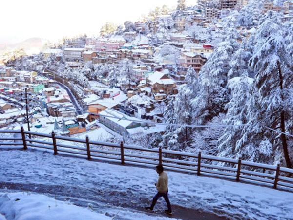 trichy to shimla travel packag
