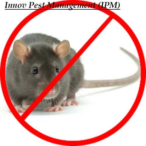 1innov 20pest 20management 20i