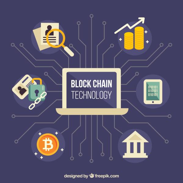 blockchain trainer