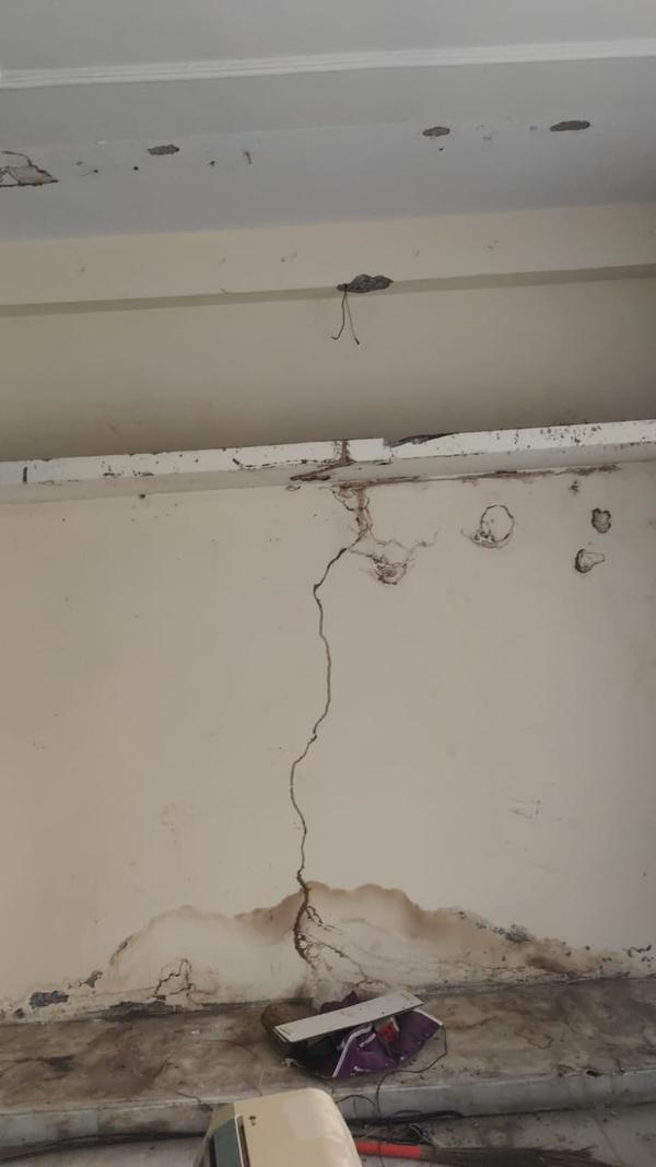 lofts antitermite treatment