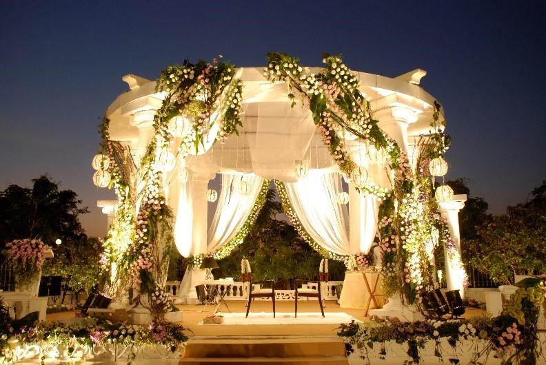 balloons backdrops props welco