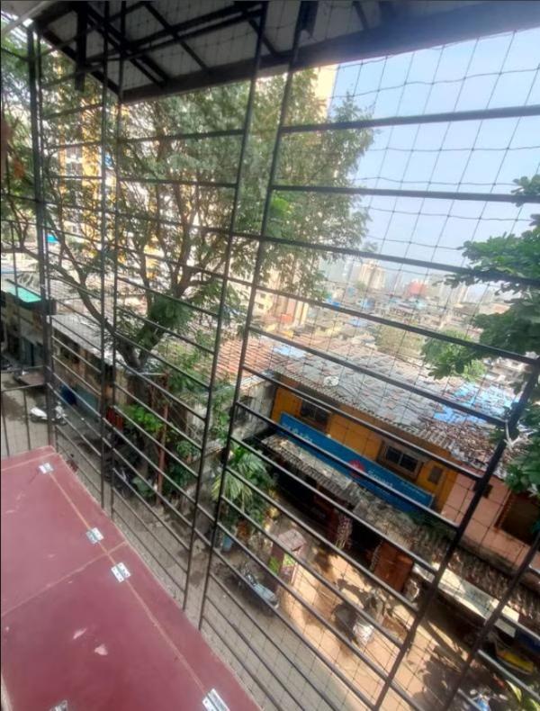 bird spike solutions