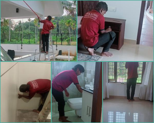professional house cleaning se