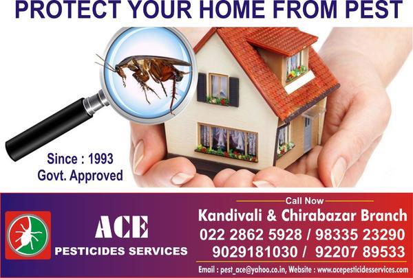 effective pest control