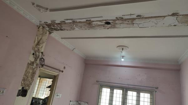 panel antitermite treatment