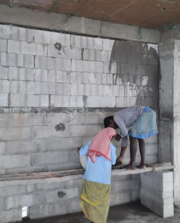 eco plaster