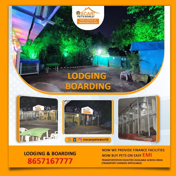 petboardingserviceinambernath