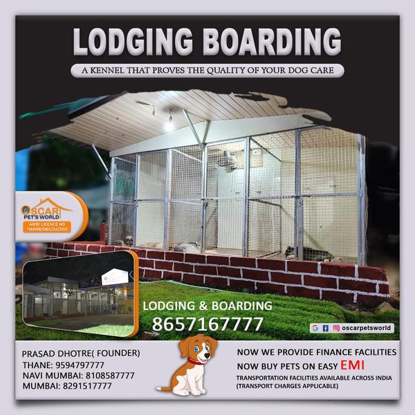 petboarding