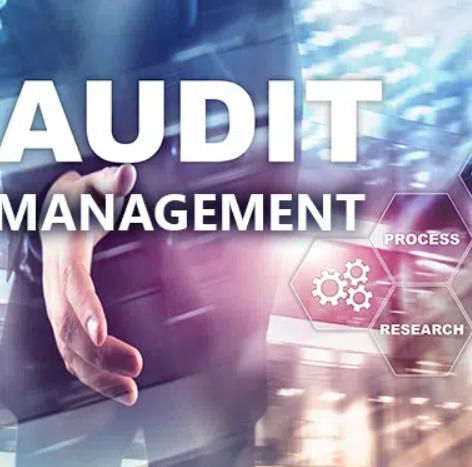 Statutory Audit Made Simple: S