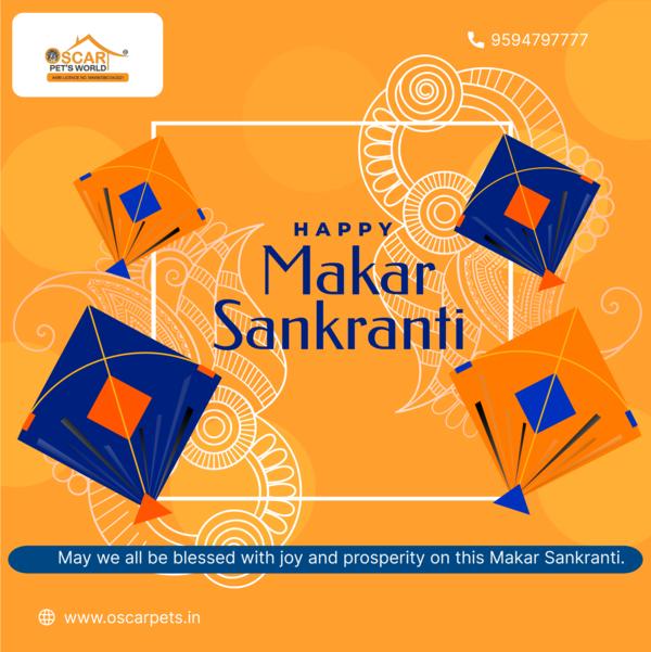 makar sankranti