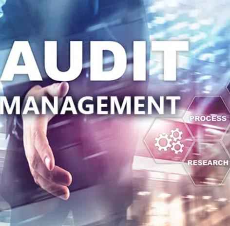 Audit Excellence with SK And C