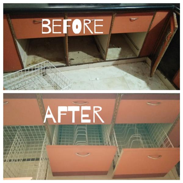 professional dusting and oil s