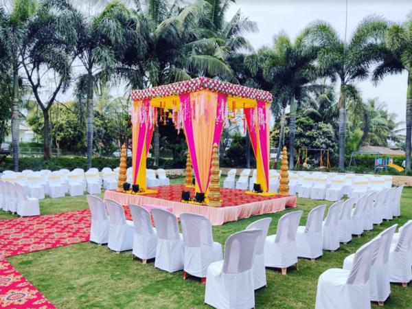 elegant backdrops