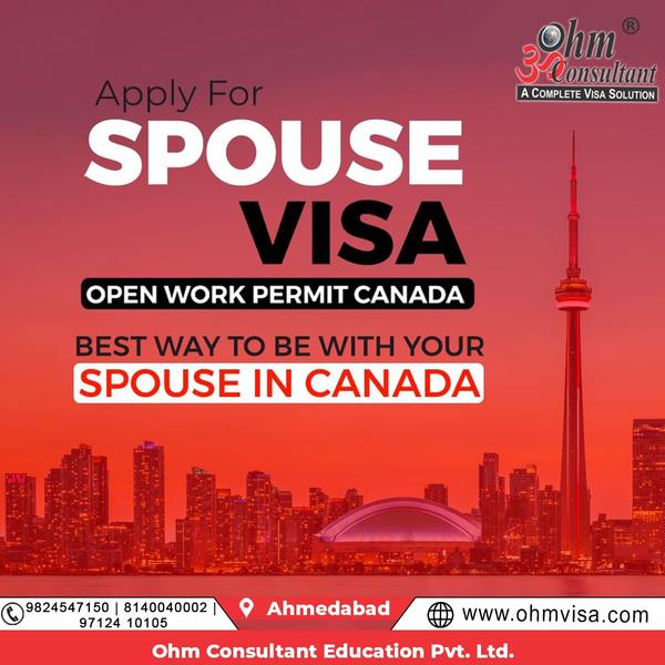 overall visa process