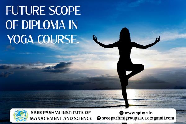 Diploma in Yoga / Diploma