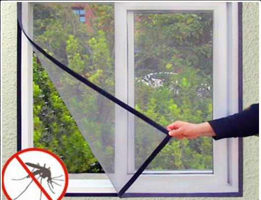window types