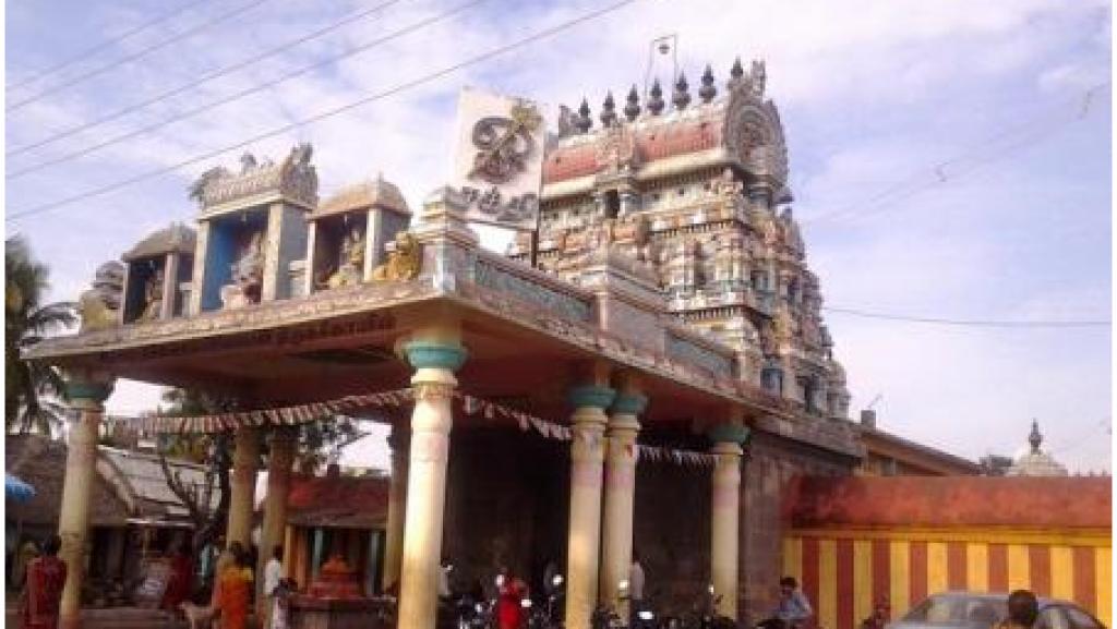 pilgirimage domestic