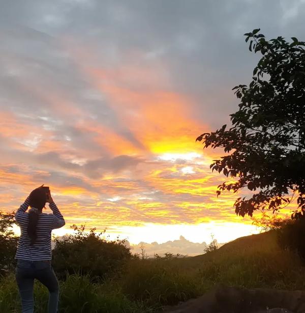 captivating golden sunset