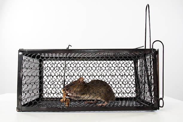 effective protection