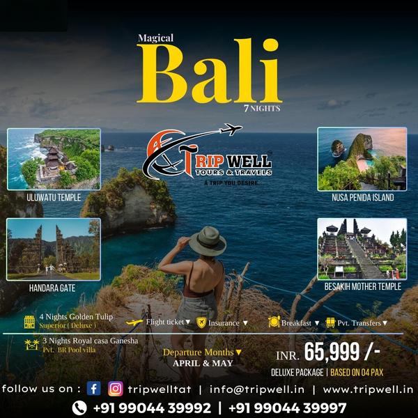 bali tour