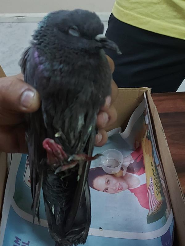 update image