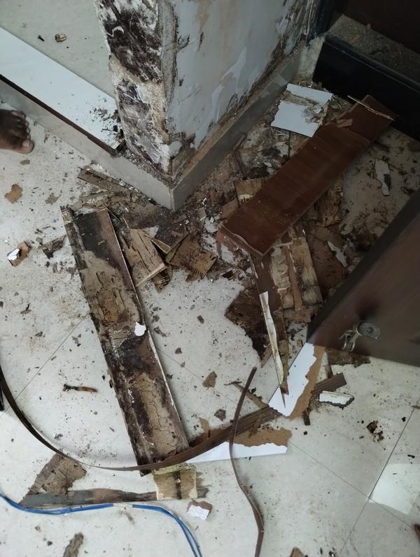 good pest control safety chemi