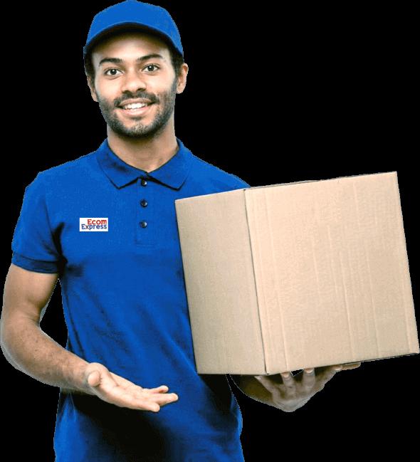 international courier service