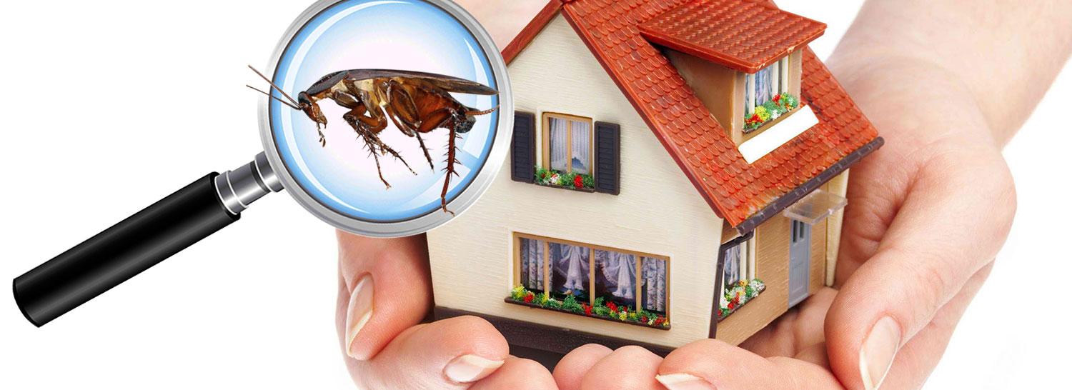 Pest control in Ghatkopar Inno