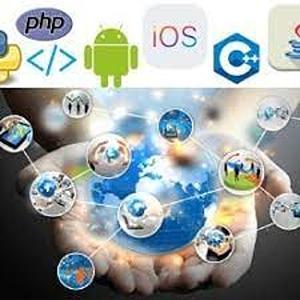 web application development co