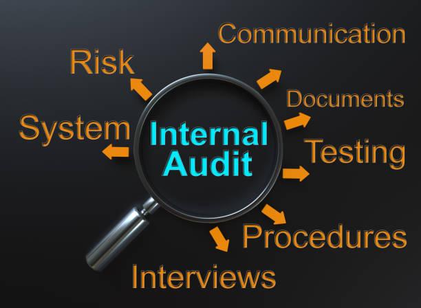 audit solutions