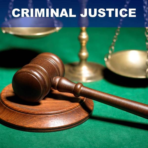 tamil nadu criminal case lawye