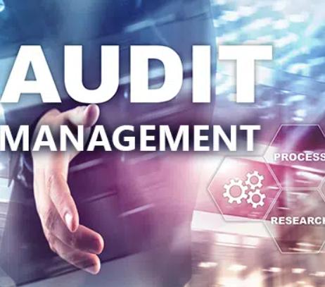 noida audit management