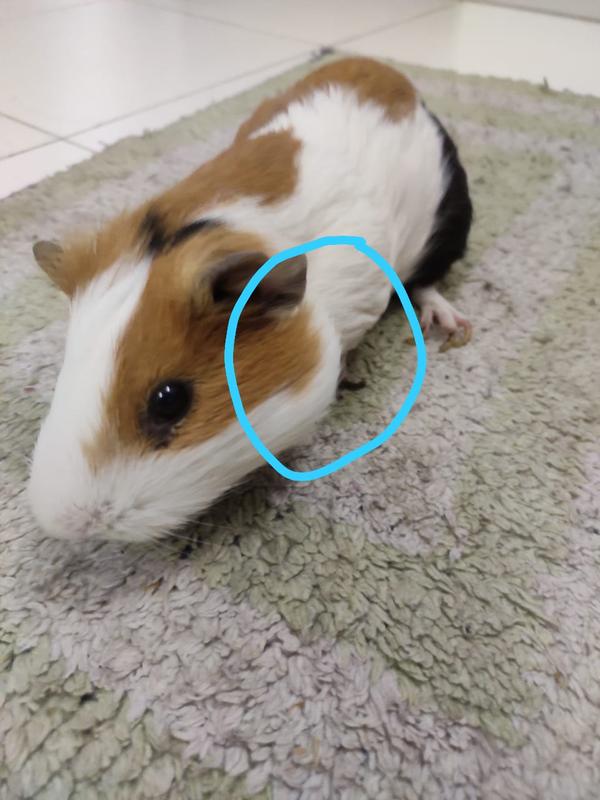 update image