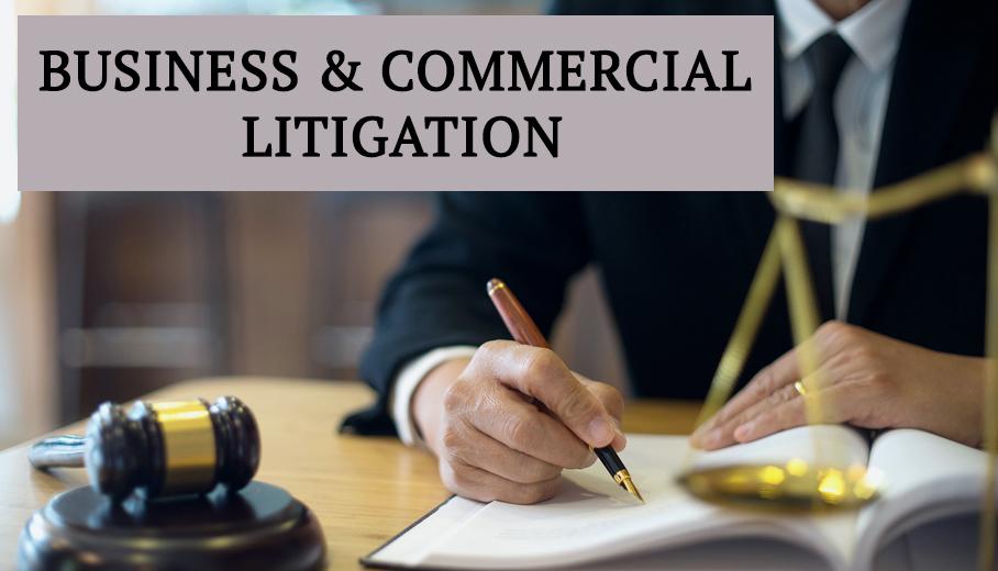 corporate litigation and busin