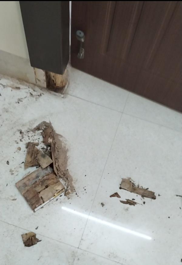 pest control services