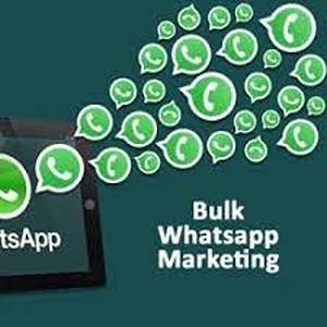 customized promotional whatsap