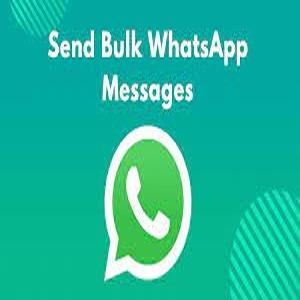 bulk whatsapp services in srir