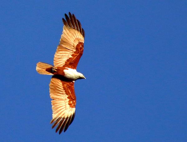 Best photography School i