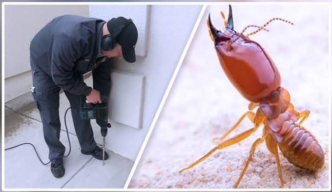 termitetreatmentinkarvenagar