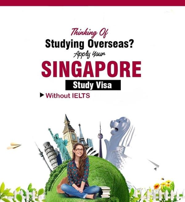 singapore student visa process