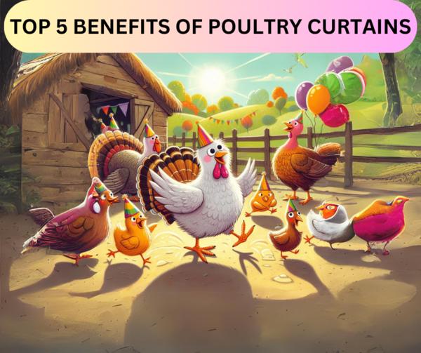 Poultry curtains play several important roles in a